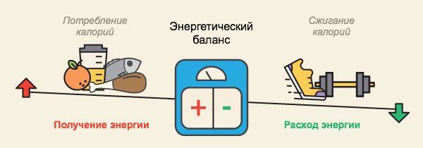 энергетический баланс организма